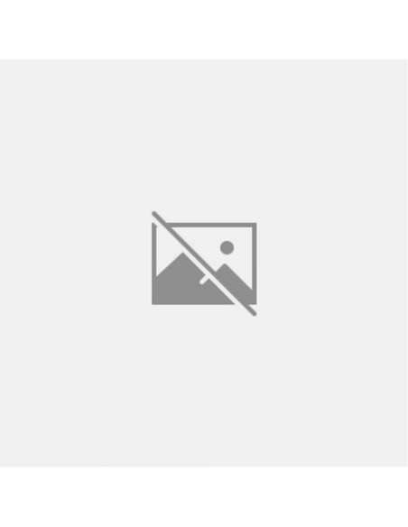 NOTULAS HISTORICAS SOBRE OS PRIMEIROS TEMPOS DA ACADEMIA DAS CIENCIAS DE LISBOA