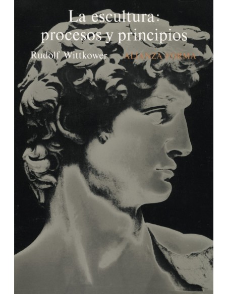 La escultura procesos y principios