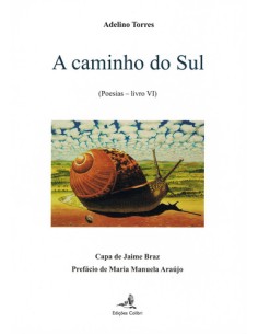 A CAMINHO DO SUL POESIAS u LIVRO VI