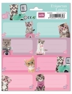 ETIQUETA ESCOLAR ERIK 15,8x20 STUDIO PET