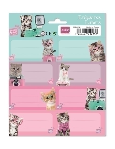 ETIQUETA ESCOLAR ERIK 15,8x20 STUDIO PET