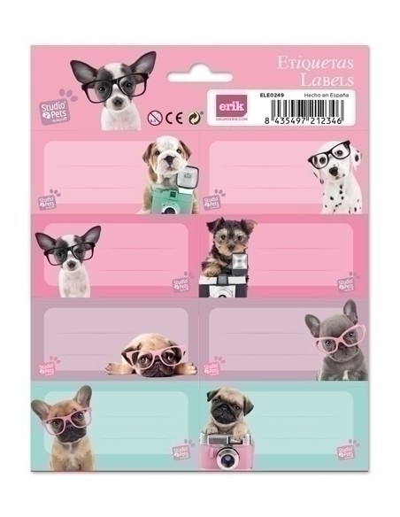 ETIQUETA ESCOLAR ERIK 15,8x20 STUDIO PET