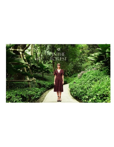 LSCC012 Pantalla plana para señalización digital LCD 800 cd / m² Negro