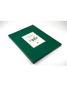 PORTPRELIMINARES DA AMPELOGRAPHIA E OENOLOGIA DO PAIZ