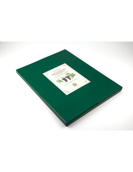 PORTPRELIMINARES DA AMPELOGRAPHIA E OENOLOGIA DO PAIZ