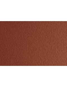 CARTULINA 50x70 FABRI. 220g LR TERRA BRU