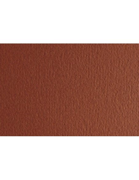 CARTULINA 50x70 FABRI. 220g LR TERRA BRU