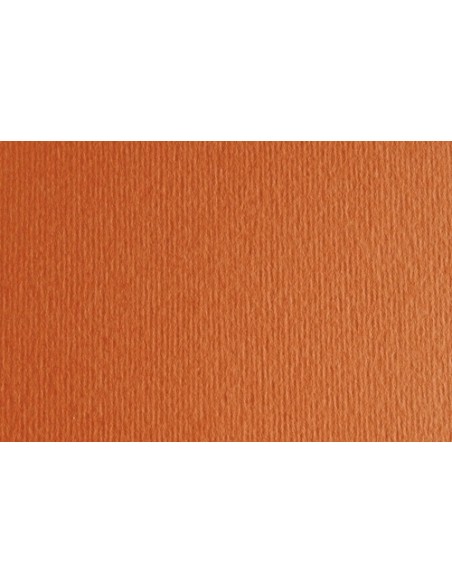 CARTULINA 50x70 FABRI. 220g LR ARAG. P/2