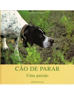 CAo de parar uma paixao