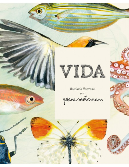 VIDA