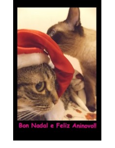Postal Bon Nadal Gatinos