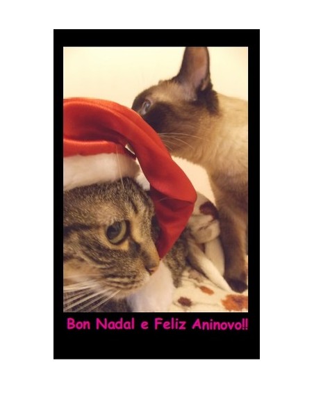 Postal Bon Nadal Gatinos