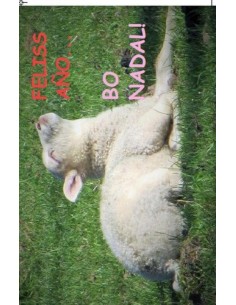 Postal Bo Nadal Felis ano