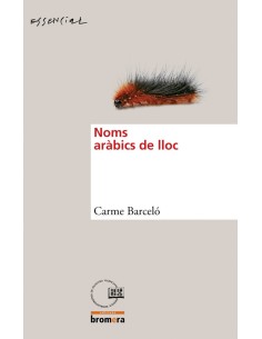 Noms arabics de lloc