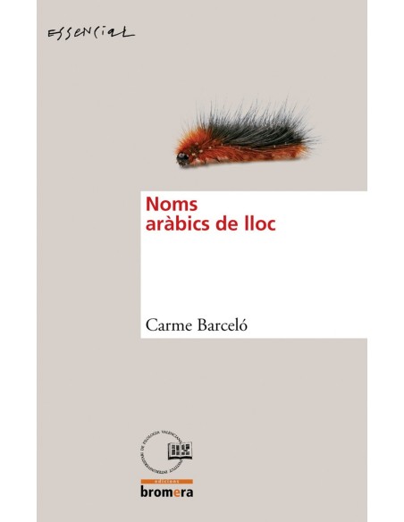 Noms arabics de lloc