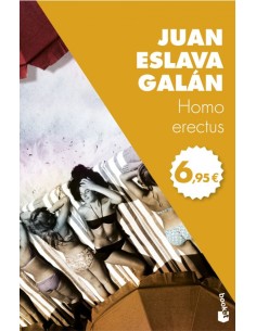 HOMO ERECTUS