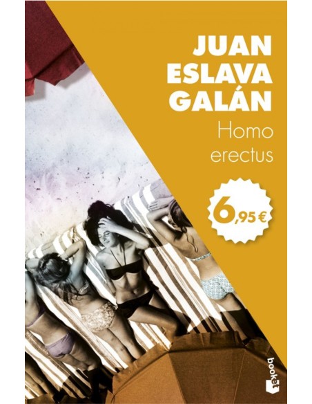 HOMO ERECTUS