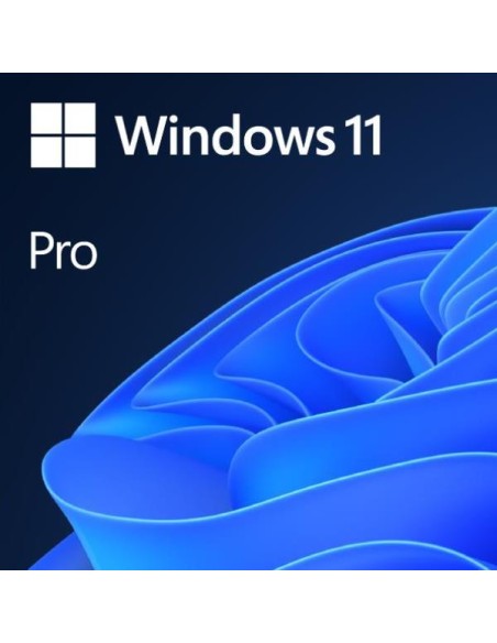 WINDOWS OEM 11 PRO 64B POR PKC