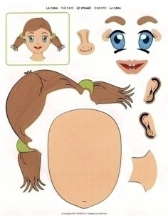 GOMETS APLI (11927) EDUC.Bl.12h LA CARA