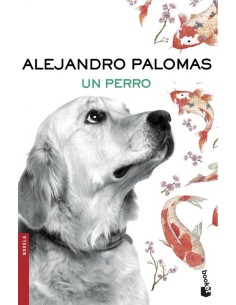 UN PERRO