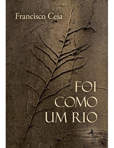 FOI COMO UM RIO