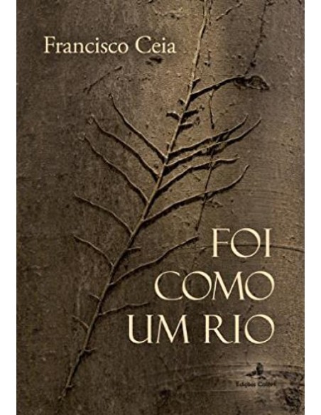 FOI COMO UM RIO