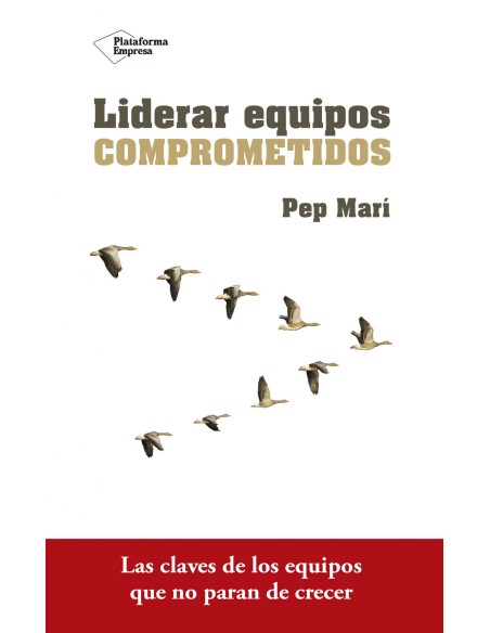 LIDERAR EQUIPOS COMPROMETIDOS
