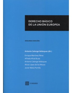 DERECHO BASICO DE LA UNION EUROPEA