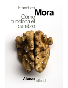 Como funciona el cerebro