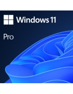 WINDOWS PRO 11 32/64BIT ESP USB