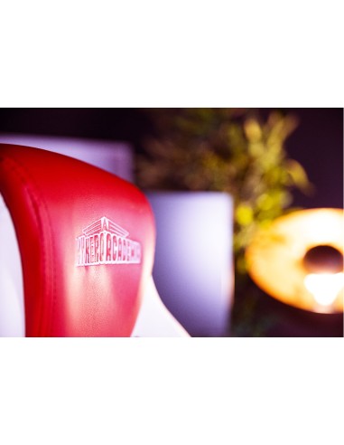 My Hero Academia KX MHA JUNIOR GAMING CHAIR Silla para videojuegos universal Asiento acolchado Rojo, Blanco