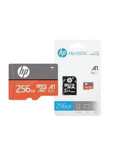 HFUD256-1V31A memoria flash 256 GB MicroSDXC Clase 10 UHS-I