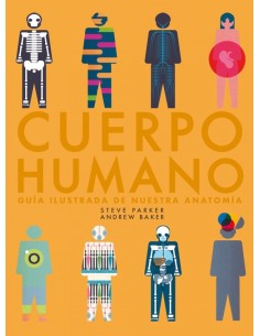 CUERPO HUMANO