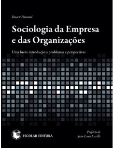 Sociologia da Empresa e das OrganizaCoes