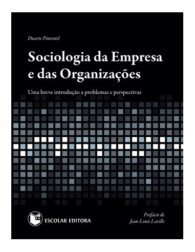 Sociologia da Empresa e das OrganizaCoes