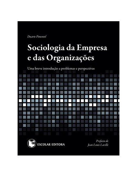 Sociologia da Empresa e das OrganizaCoes