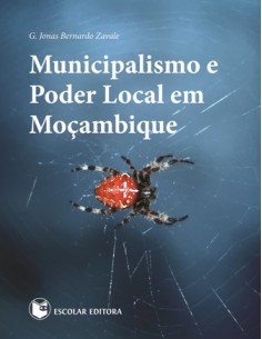 Municipalismo e Poder Local em MoCambique