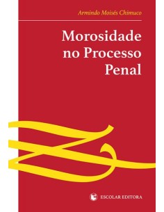 Morosidade no Processo Penal