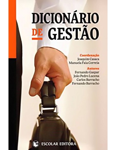 Dicionario de Gestao