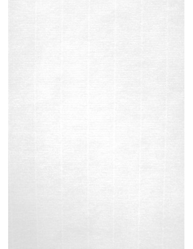 12130 papel para impresora de inyección de tinta A4 (210x297 mm) 20 hojas Blanco