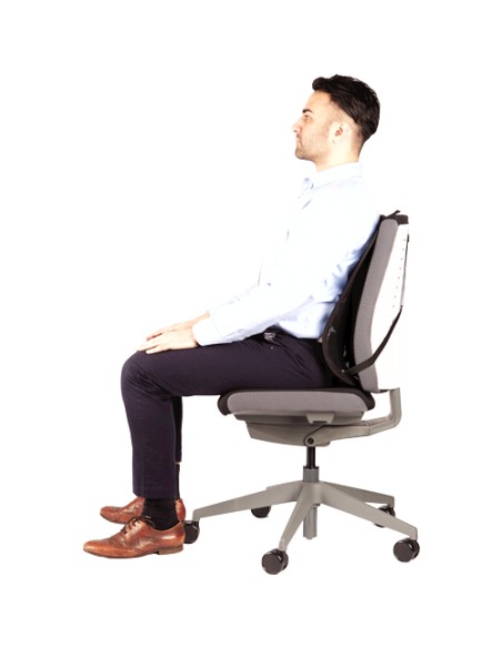 8029901 soporte lumbar para respaldos Grafito