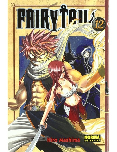 FAIRY TAIL 12