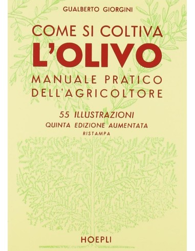 Come si coltiva l olivo