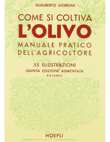 Come si coltiva l olivo