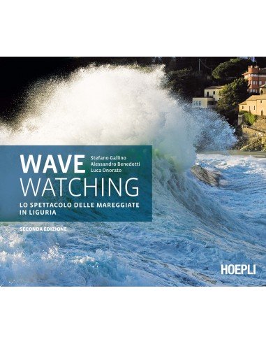 Wave Watching
