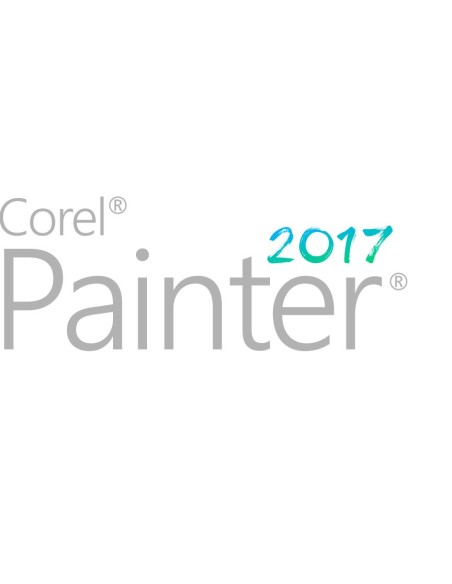 Painter Maintenance (2 Yr) (251+) 2 año(s)