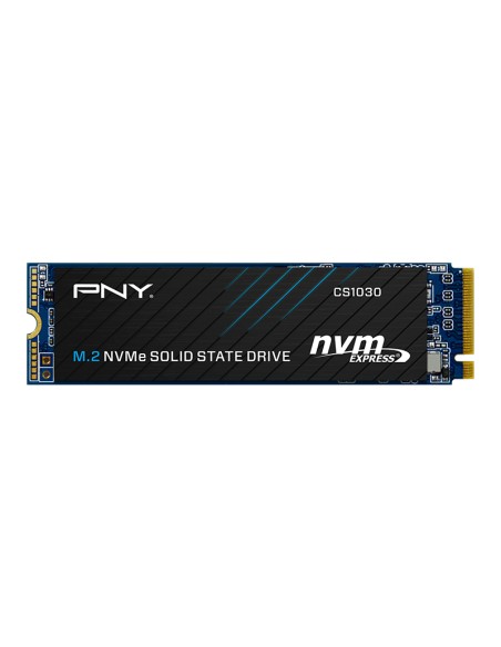 CS1030 M.2 1 TB PCI Express 3.0 3D NAND NVMe