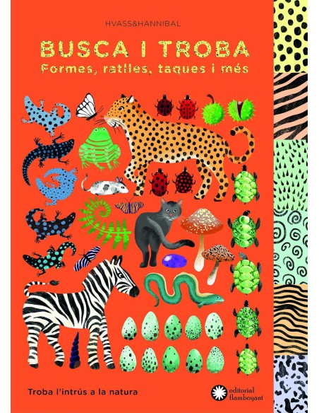 BUSCA I TROBA FORMES RATLLES TAQUES I MES