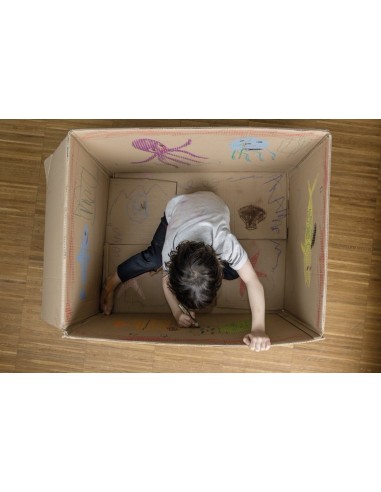 Woody 3 in 1 Multicolor 6 pieza(s)