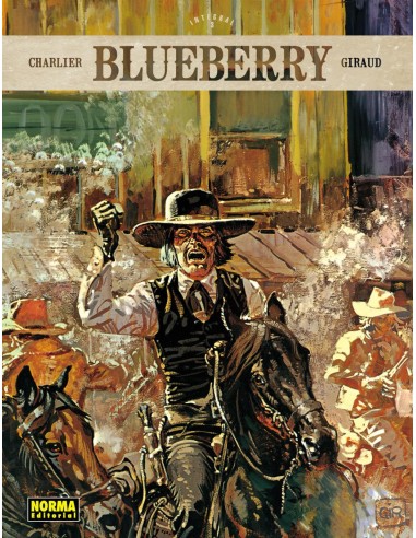 BLUEBERRY INTEGRAL 3